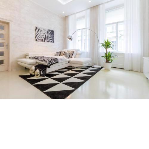 Stylish Apartment 5 Minutes Walk From City Center