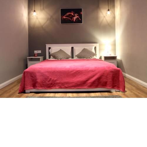 Stylish Apartment Downtown ( A/C+FREE PARKING)