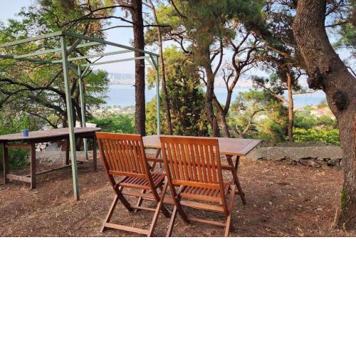 Stylish lodge with wonderful sea view and garden