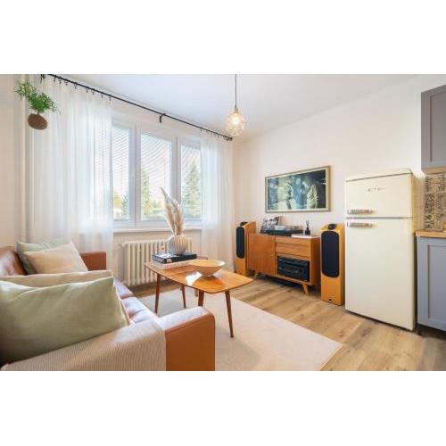 Stylish retro apartment