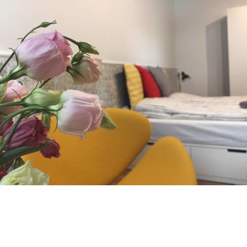 Stylish studio beside the Gellert Hill and Danube