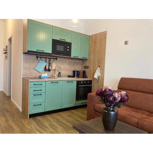 Štýlový apartmán A409 v centre NR, parkovanie v cene