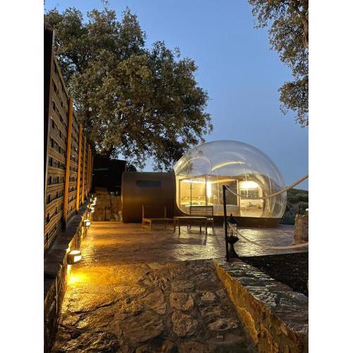SUITE 19 BUBBLE BY CORTIJO COLOMO