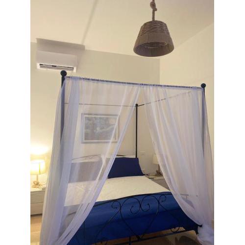 Suite ad maiora