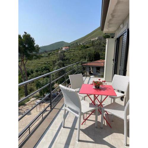 Suite Carradona