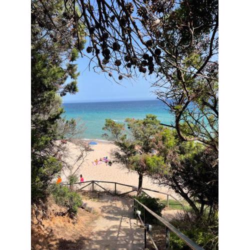 Sun Sea of Sardinia