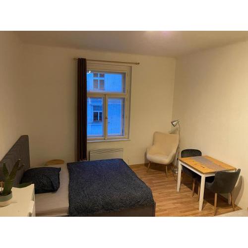 Sunlit apartment close to city center