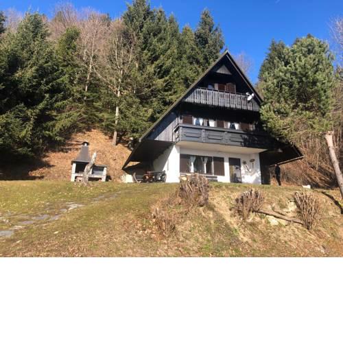 Sunny chalet Anica
