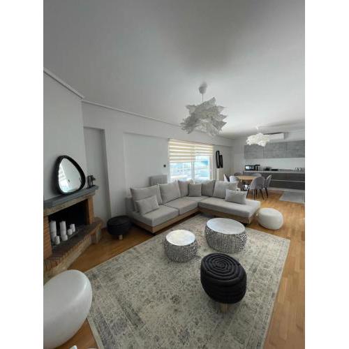 Sunny Contemporary Art Penthouse