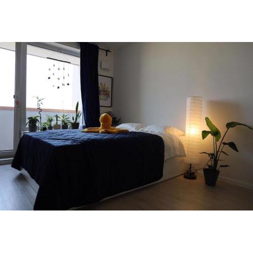 Sunny cozy apartment