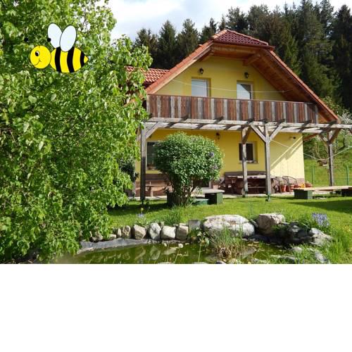 Sunny Holiday House B&B