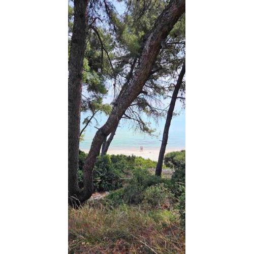 Sunny Seaside Villa-90 m from beach
