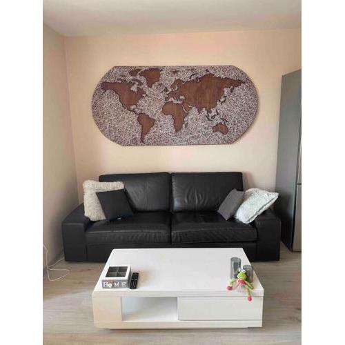 Sunny Spacious Apartment in a Great Location