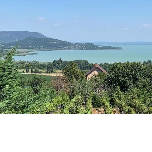 Sunny's Panoramic Cottage
