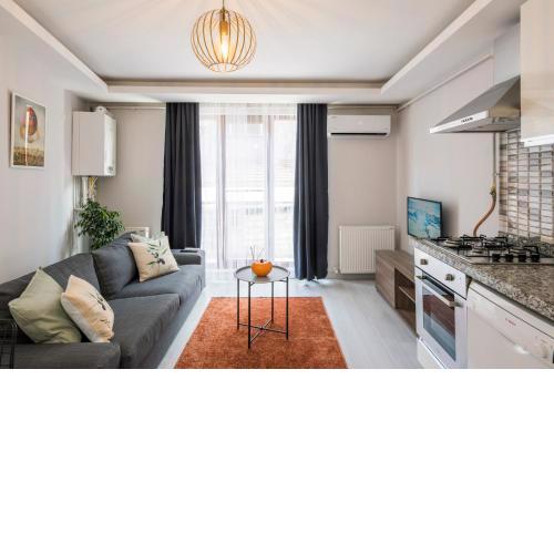 Superior One Bedroom Apartment near Galataport 3