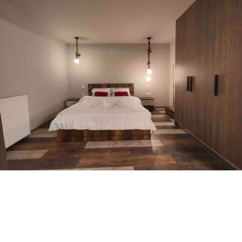Supreme comfortable & spacious apt near Athens ctr