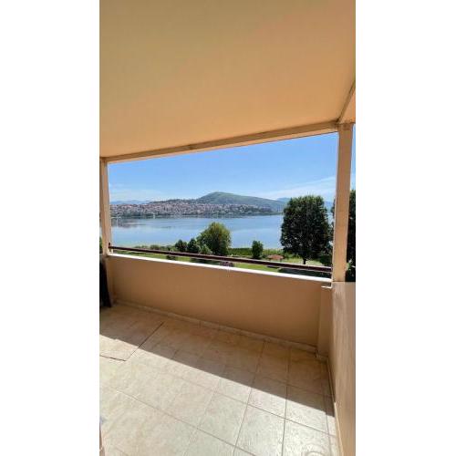 Swan Lake Front Apartment