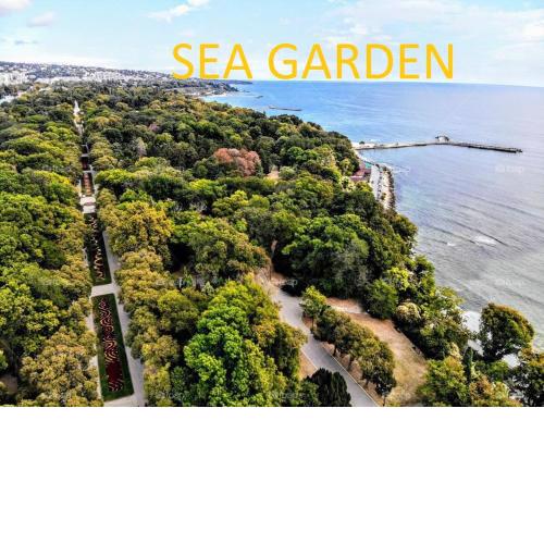 Sweet Home Near The Sea