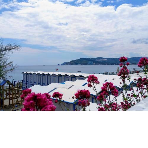 Sweet Sea View
