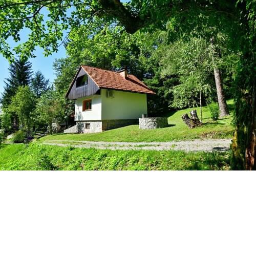 Sweet Stay Forest House