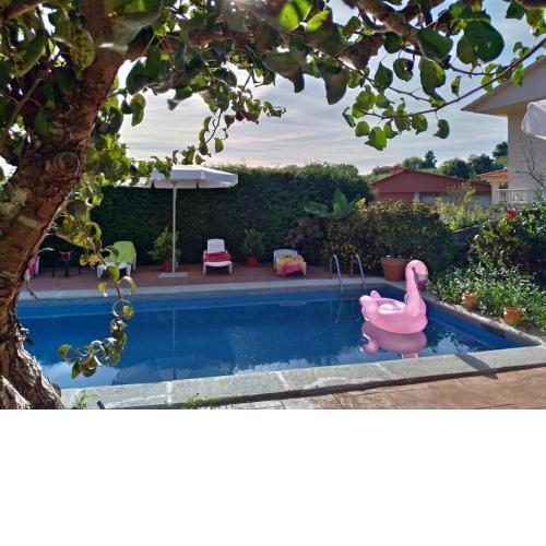 Swimming pool, beach and garden in Nigran