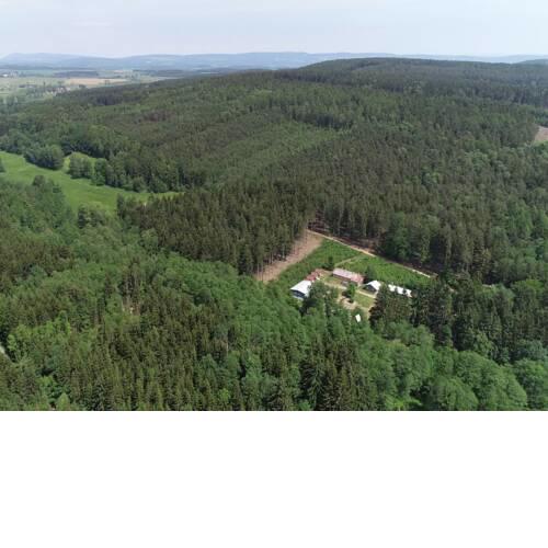 Tábořiště a kemp Nesytá