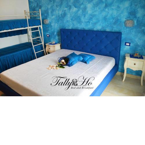Tally B&B