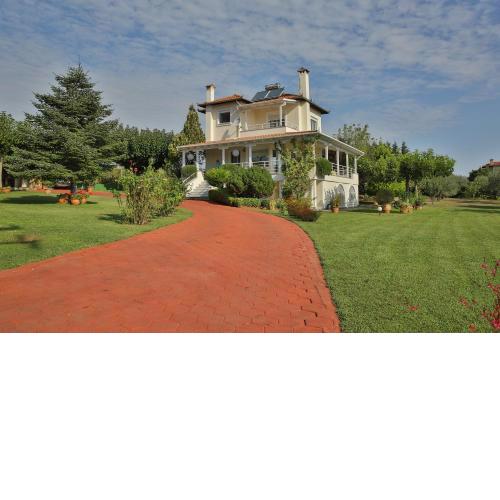 TAMMY'S GARDEN HOUSE