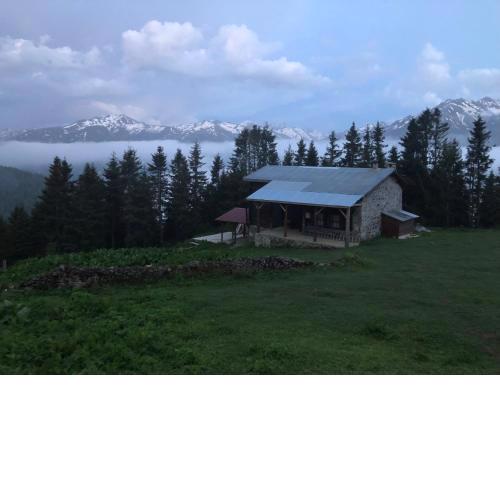 Tanevit Dağ Evi