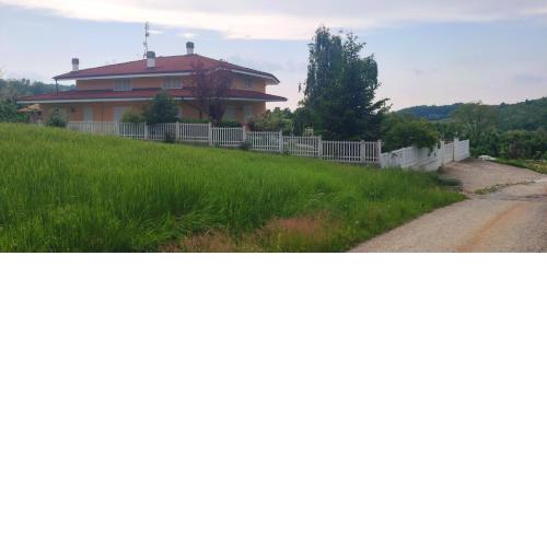 Taoretto 1