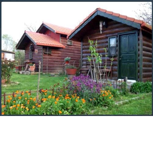 Tartaruga Motel Agva