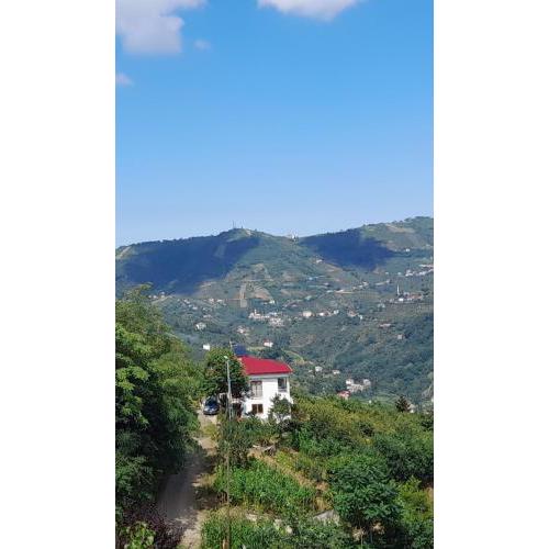 TATİL EVİ