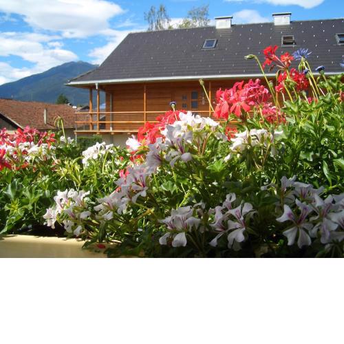 Tauberhof Apartments