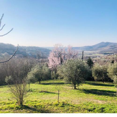 Tavern di Arqua'