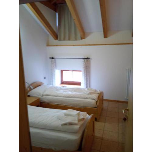 Taxus Hostel