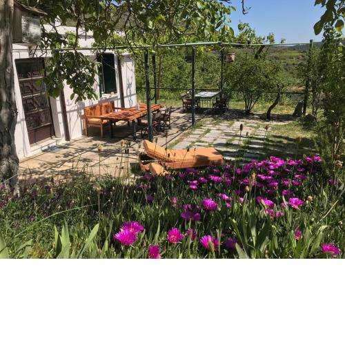 Temenia House
