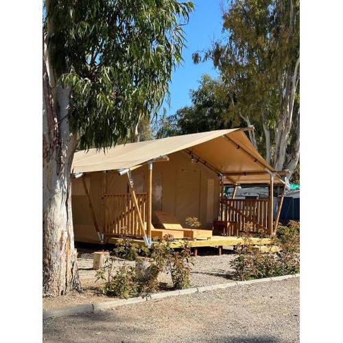 Tent -Tienda- Glamping para 5 personas