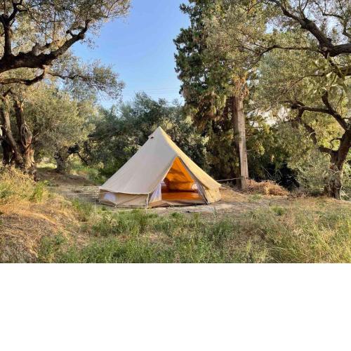 Tent by the sea, private toilet and kitchenette