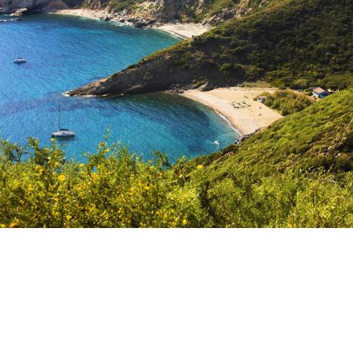 Tenuta Delle Ripalte