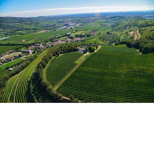 Tenuta Delo Relais