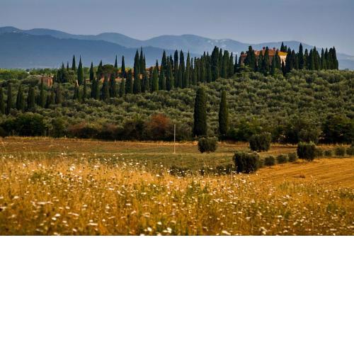 Tenuta di Poggio Cavallo
