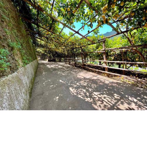 Tenuta Donna Giovanna