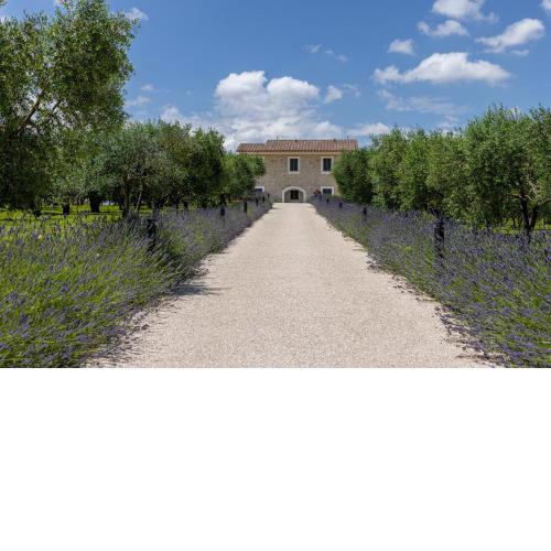 TENUTA FOGLIANI
