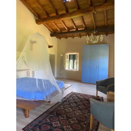 Tenuta Il Colle di Tiglio