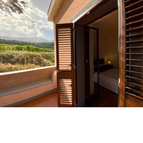 Tenuta Kiwi dell’Etna