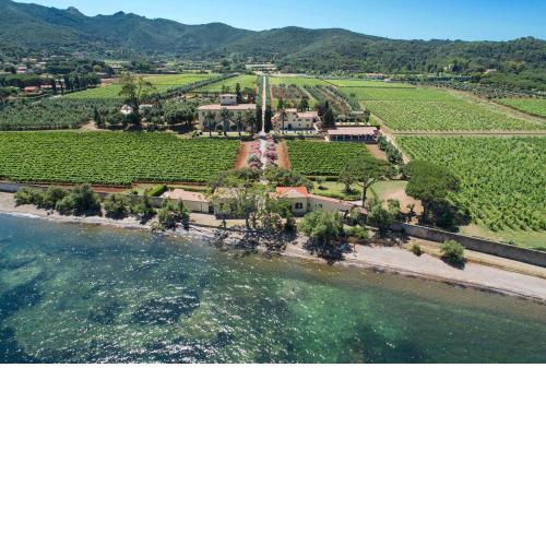 Tenuta La Chiusa
