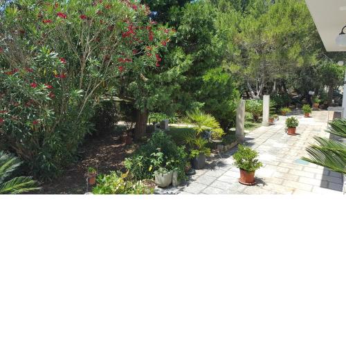 Tenuta la Fresa