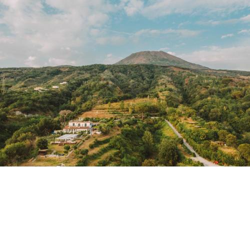Tenuta Le Fornacelle