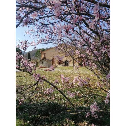 Tenuta Le Garzaie - Villa Furlo