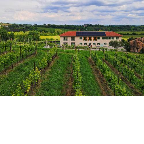 Tenuta Mani Sagge